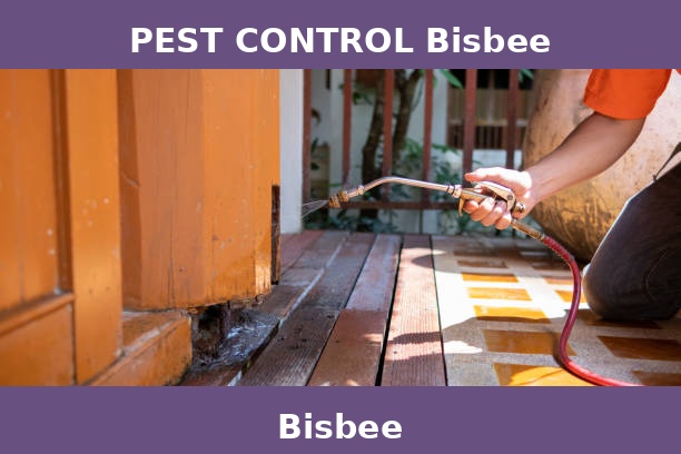PEST CONTROL Bisbee